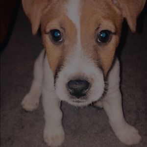 Meet your Posher, Maddie